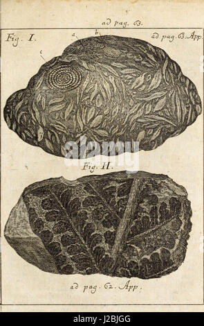 "Miscellanea Curiosa, Sive Ephemeridum Medico-Physicarum Germanicarum" (1700) Stockfoto