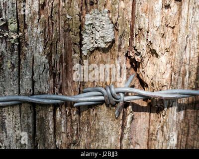 Stacheldraht umwickelt Ackerland Grenze Holz-Zaun Stockfoto