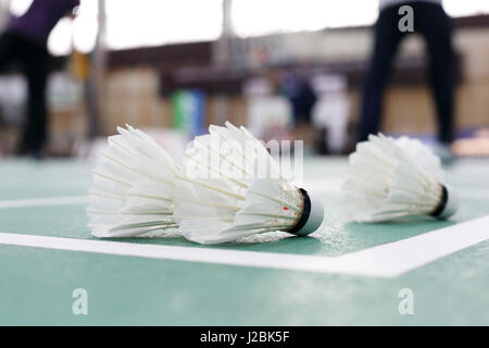 Badminton - Badminton-Plätze mit Spielern; Badminton Federball Stockfoto