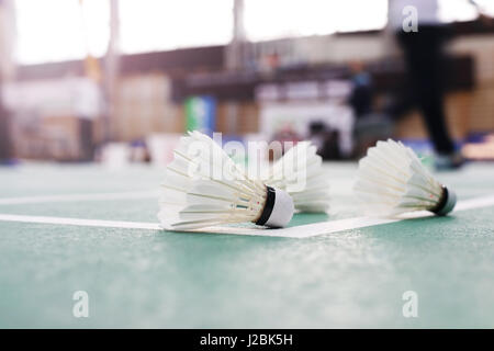 Badminton - Badminton-Plätze mit Spielern; Badminton Federball Stockfoto