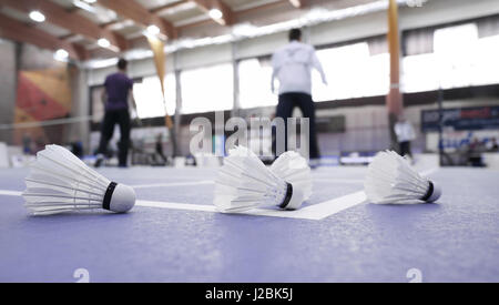 Badminton - Badminton-Plätze mit Spielern; Badminton Federball Stockfoto