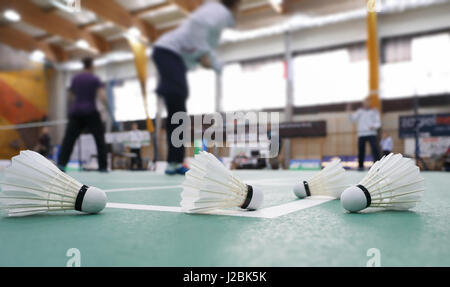Badminton - Badminton-Plätze mit Spielern; Badminton Federball Stockfoto