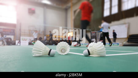 Badminton - Badminton-Plätze mit Spielern; Badminton Federball Stockfoto