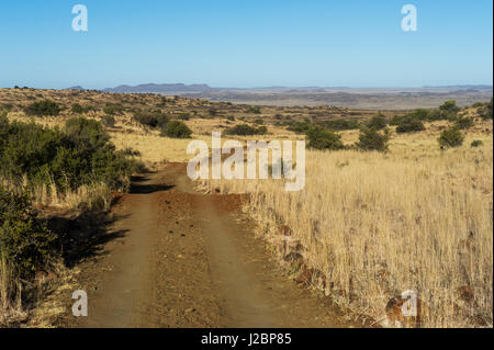 Landschaft in private Wildfarm, Great Karoo, Südafrika Stockfoto