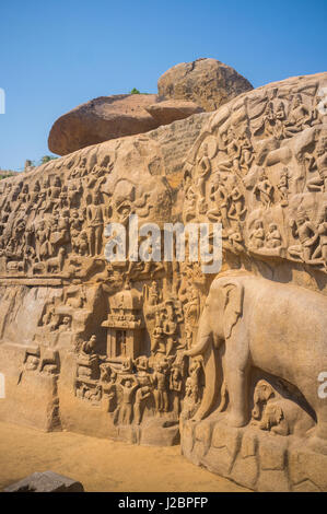 Elefanten-Skulpturen auf die Buße von Arjuna in Mahabalipuram Indien Stockfoto
