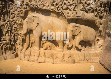 Elefanten-Skulpturen auf die Buße von Arjuna in Mahabalipuram Indien Stockfoto