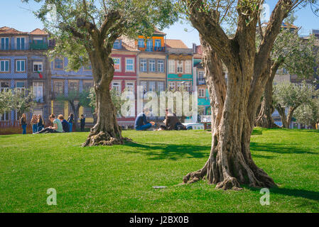 Junge Menschen parken Europa, Blick auf junge Menschen entspannen an einem Sommernachmittag in einem Park in der portugiesischen Stadt Porto. Stockfoto