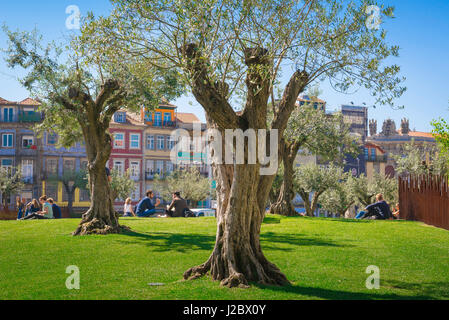 Porto Portugal Park, Blick auf die Menschen entspannen in der Praca dos Clerigos im Zentrum von Porto an einem Sommernachmittag, Europa Stockfoto