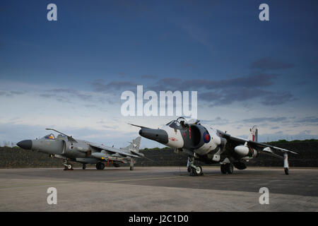 Harrier GR 3, XZ996 und Sea Harrier ZH796, bei RAF Cosford, Stockfoto