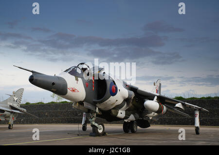 Harrier GR 3, XZ996, bei RAF Cosford, Stockfoto