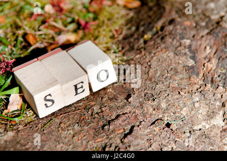 Organisches Wachstumskonzept für die Inbetriebnahme und small Business-online-marketing Stockfoto