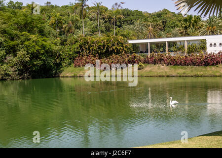 Blick auf den See bei Inhotim Public Museum für zeitgenössische Kunst - Brumadinho, Minas Gerais, Brasilien Stockfoto