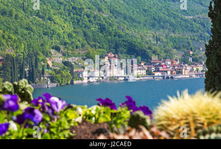 Blick in Richtung Fiumelatte aus dem Botanischen Garten von Villa Monastero, Varenna am Ostufer des Comer See, Italien im April Stockfoto