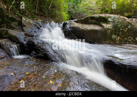 Kleiner Wasserfall zwischen Herbst Blätter, das erfüllt den Peri-See in Florianopolis, Brasilien. Stockfoto