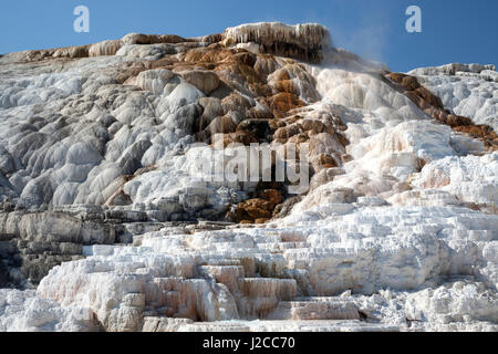 Travertin Terrassen, Thermalbad, Mineral Ablagerungen, Palette Frühling, unteren Terrassen, Mammoth Hot Springs Stockfoto