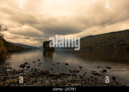 Ein Crannog und eine Insel der Bäume auf das Stille Wasser des Loch Tay bei Sonnenuntergang als einige Enten spielen am Ufer. Kenmore, Perthshire, Schottland. Stockfoto