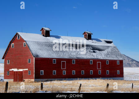 Alte, rote, hölzerne Scheune sitzt auf einem Feld in Colorado.  Es ist drei Geschichte mit Gauben an der Spitze.  Lichtebene Schnee bedeckt Feld und Dach. Stockfoto