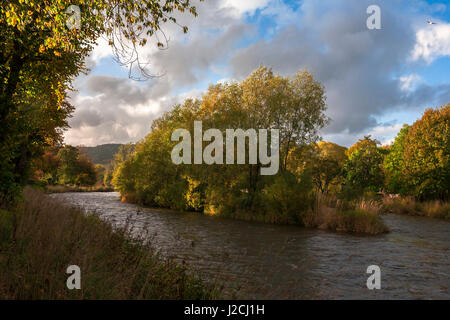 Der Fluss Tweed und Tweed-Insel in Peebles, Scottish Borders Stockfoto