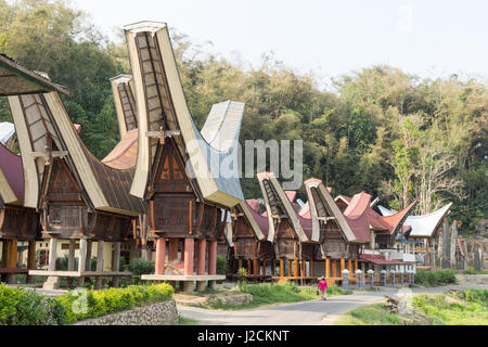 Grab, Torajaland, Toraja Utara, Indonesien, Sulawesi Selatan Stockfoto