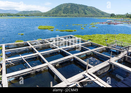 Indonesien, Maluku Utara, Kabupaten Halmahera Utara, Fisch Käfige auf dem Wasser bei Galela am nördlichen Molikken Stockfoto