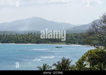 Indonesien, Maluku Utara, Kabupaten Halmahera Utara, Palm Tree Wald am Meer am nördlichen Molikken Stockfoto