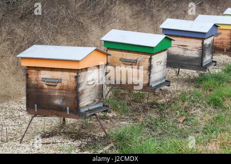 Hölzerne Bienenstöcke in einem Garten Stockfoto