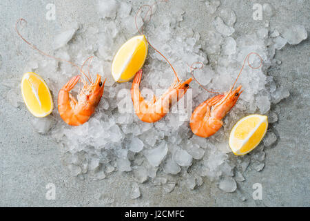 Rohe Garnelen auf Eis Stockfoto
