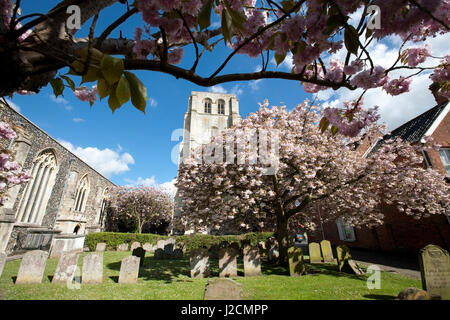 St. Michaels Kirche Beccles Suffolk England Stockfoto