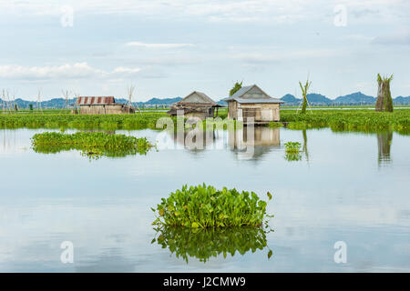 Indonesien, Sulawesi Selatan Kabupaten Soppeng, Hütten auf dem Wasser, See Danau Tempe Stockfoto