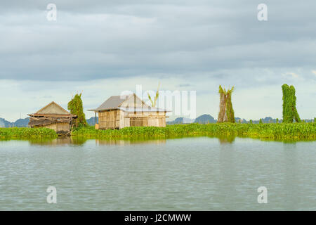 Indonesien, Sulawesi Selatan Kabupaten Soppeng, Hütten auf dem Wasser, See Danau Tempe Stockfoto