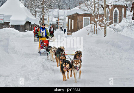 Hundeschlitten-Rennen sind eine beliebte Winter-Leidenschaft für viele Musher in den Nordklimata wie British Columbia, Yukon und Alaska, eine robuste Mischung von Tieren und menschlichen stärken. Hundeschlitten Rennen im historischen Barkerville, b.c. Stockfoto