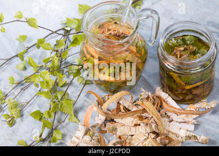 Birkenöl, Birken-Creme aus Birkenblättern Und Birkenrinde, Birken-Feierstimmung, Birken-Rinde, Blätter, Blatt. Hänge-Birke, Sand-Birke, Birke, Hängebirke, Stockfoto