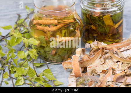 Birkenöl, Birken-Creme aus Birkenblättern Und Birkenrinde, Birken-Feierstimmung, Birken-Rinde, Blätter, Blatt. Hänge-Birke, Sand-Birke, Birke, Hängebirke, Stockfoto