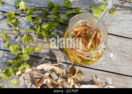 Birkenöl, Birken-Creme aus Birkenblättern Und Birkenrinde, Birken-Feierstimmung, Birken-Rinde, Blätter, Blatt. Hänge-Birke, Sand-Birke, Birke, Hängebirke, Stockfoto