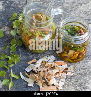 Birkenöl, Birken-Creme aus Birkenblättern Und Birkenrinde, Birken-Feierstimmung, Birken-Rinde, Blätter, Blatt. Hänge-Birke, Sand-Birke, Birke, Hängebirke, Stockfoto