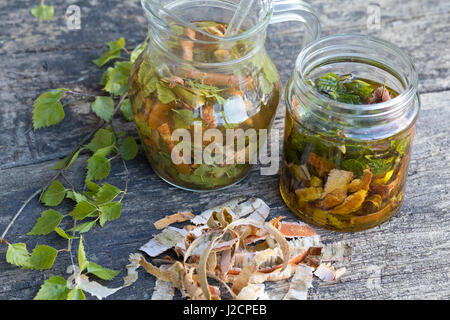 Birkenöl, Birken-Creme aus Birkenblättern Und Birkenrinde, Birken-Feierstimmung, Birken-Rinde, Blätter, Blatt. Hänge-Birke, Sand-Birke, Birke, Hängebirke, Stockfoto