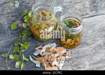 Birkenöl, Birken-Creme aus Birkenblättern Und Birkenrinde, Birken-Feierstimmung, Birken-Rinde, Blätter, Blatt. Hänge-Birke, Sand-Birke, Birke, Hängebirke, Stockfoto