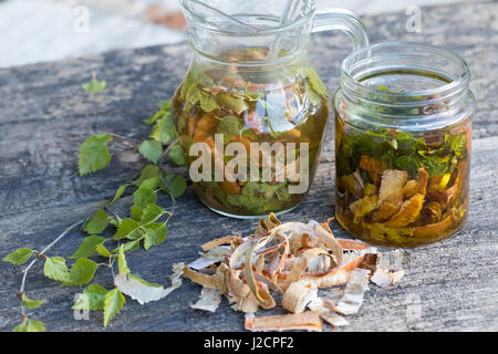 Birkenöl, Birken-Creme aus Birkenblättern Und Birkenrinde, Birken-Feierstimmung, Birken-Rinde, Blätter, Blatt. Hänge-Birke, Sand-Birke, Birke, Hängebirke, Stockfoto