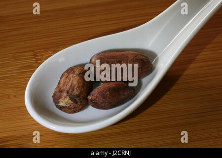 Kakaobohnen auf Porzellanlöffel Stockfoto