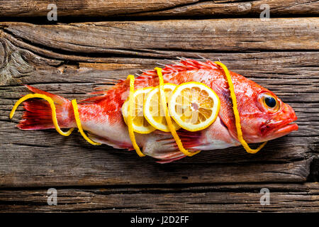 Roten Drachenköpfe auf einem abgenutzten Holztisch Stockfoto