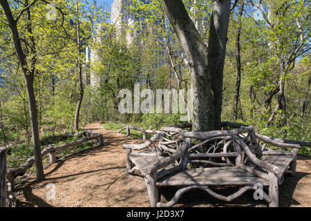 Central Park im Frühling, New York City, USA Stockfoto