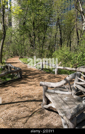 Central Park im Frühling, New York City, USA Stockfoto