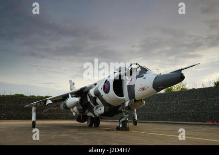 Harrier GR-3 bei RAF Cosford, Stockfoto