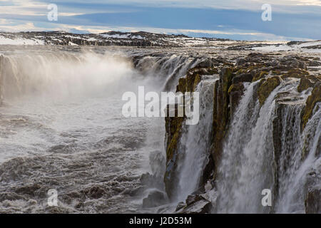 Selfoss Wasserfall auf dem Fluss Jökulsá Á Fjöllum in in der Schlucht Jökulsárgljúfur im Winter Nordregion in Island Stockfoto