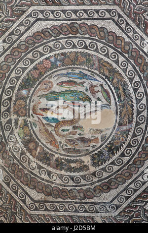 Meer Fische und Krebstiere in der römischen Mosaik aus dem 3. Jahrhundert AD dargestellt angezeigt im Museo de Santa Cruz (Santa Cruz Museum) in Toledo, Spanien. Stockfoto