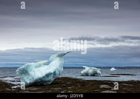 Kanada, geerdet Nunavut Territory, Repulse Bay, Eisberge bei Ebbe in Harbor Islands an Sommernachmittagen (großformatige Größen erhältlich) Stockfoto