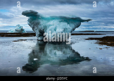 Kanada, geerdet Nunavut Territory, Repulse Bay, Eisberge bei Ebbe in Harbor Islands an Sommernachmittagen (großformatige Größen erhältlich) Stockfoto