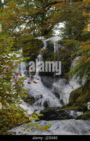 Swallow Falls, Betws y Coed, im Herbst Stockfoto