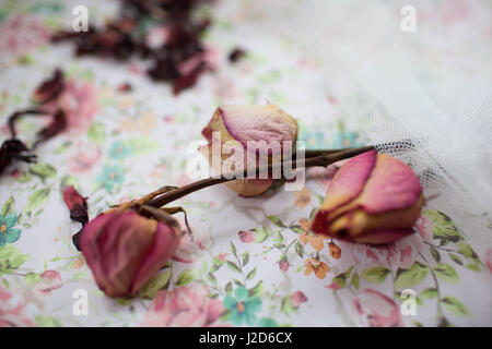 trockene rosa Rosen liegen auf dem Tisch Stockfoto