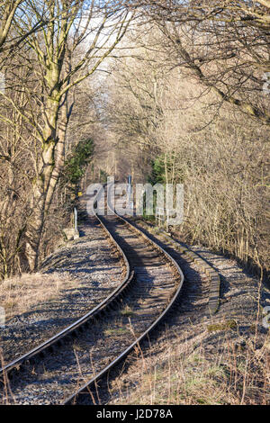 Eingleisigen Eisenbahnstrecke durch den Wald, Hoffnung, Derbyshire, England, UK Stockfoto